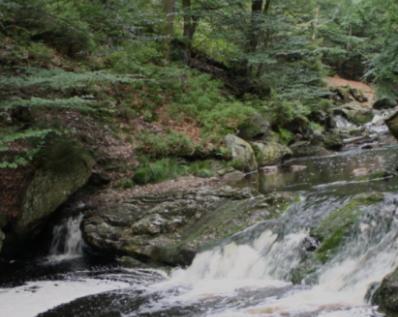 Gite Ardennes Au Coin Du Feu Jacuzzi Sauna Et Nature Jalhay Esterno foto