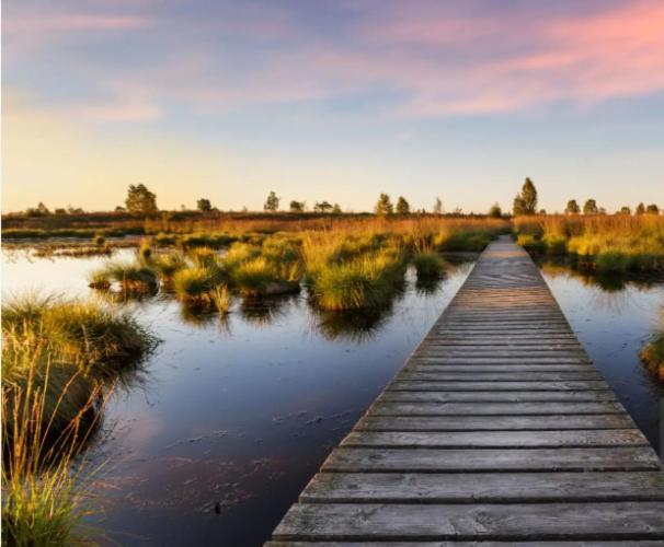 Gite Ardennes Au Coin Du Feu Jacuzzi Sauna Et Nature Jalhay Esterno foto