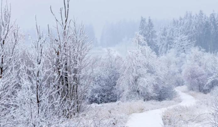 Gite Ardennes Au Coin Du Feu Jacuzzi Sauna Et Nature Jalhay Esterno foto
